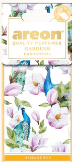 עץ ריח Osmanthus